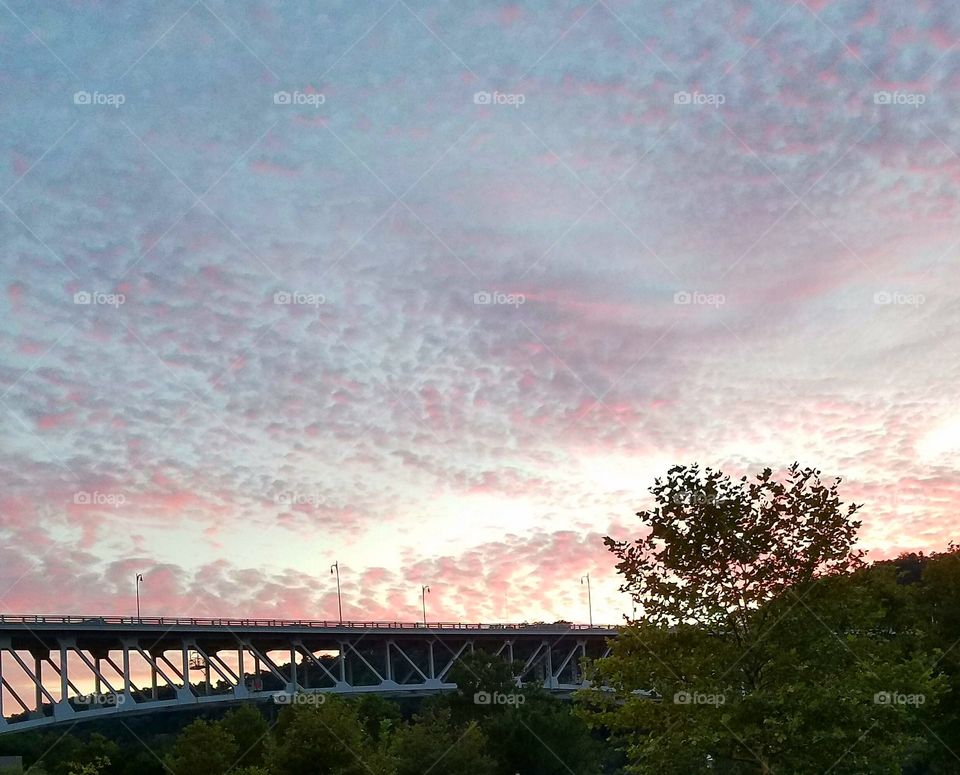 view from the waterfront in Pittsburgh at the Homestead Grays Bridge.
