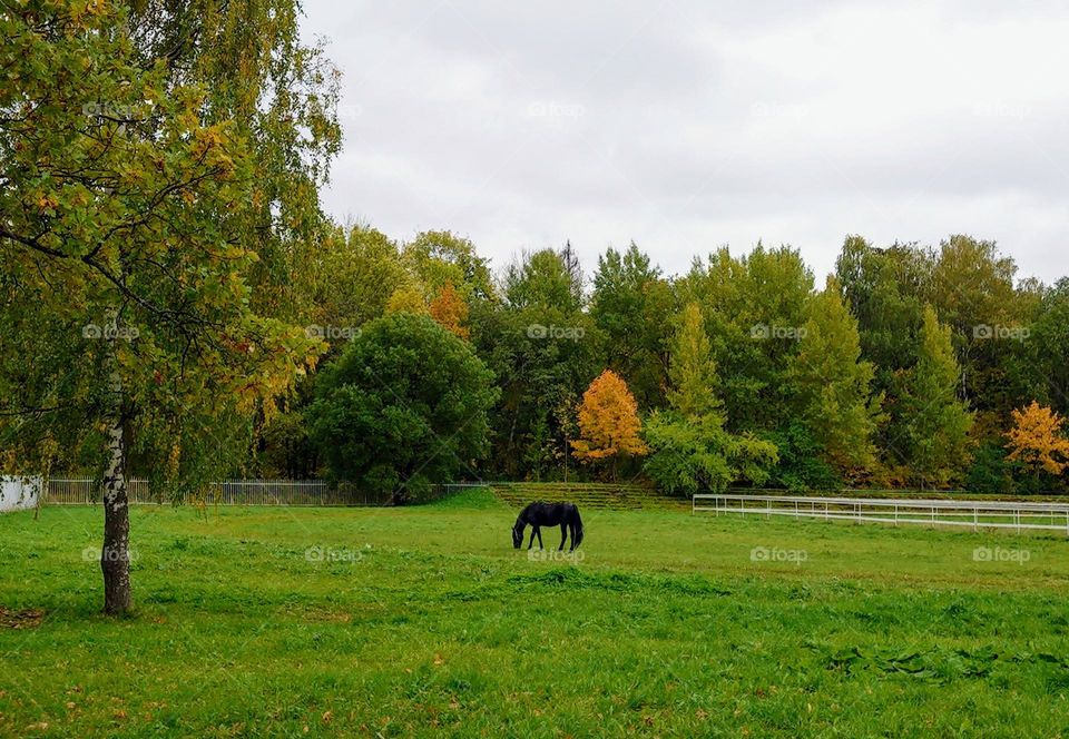 Autumn time 🍁🍂 Farm🍁🍂 Landscape 🍁🍂