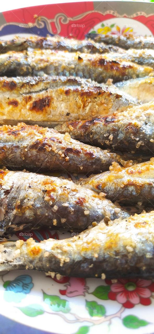 Amazing picture of fishes