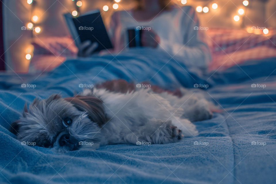 A girl with her dog in the bedroom