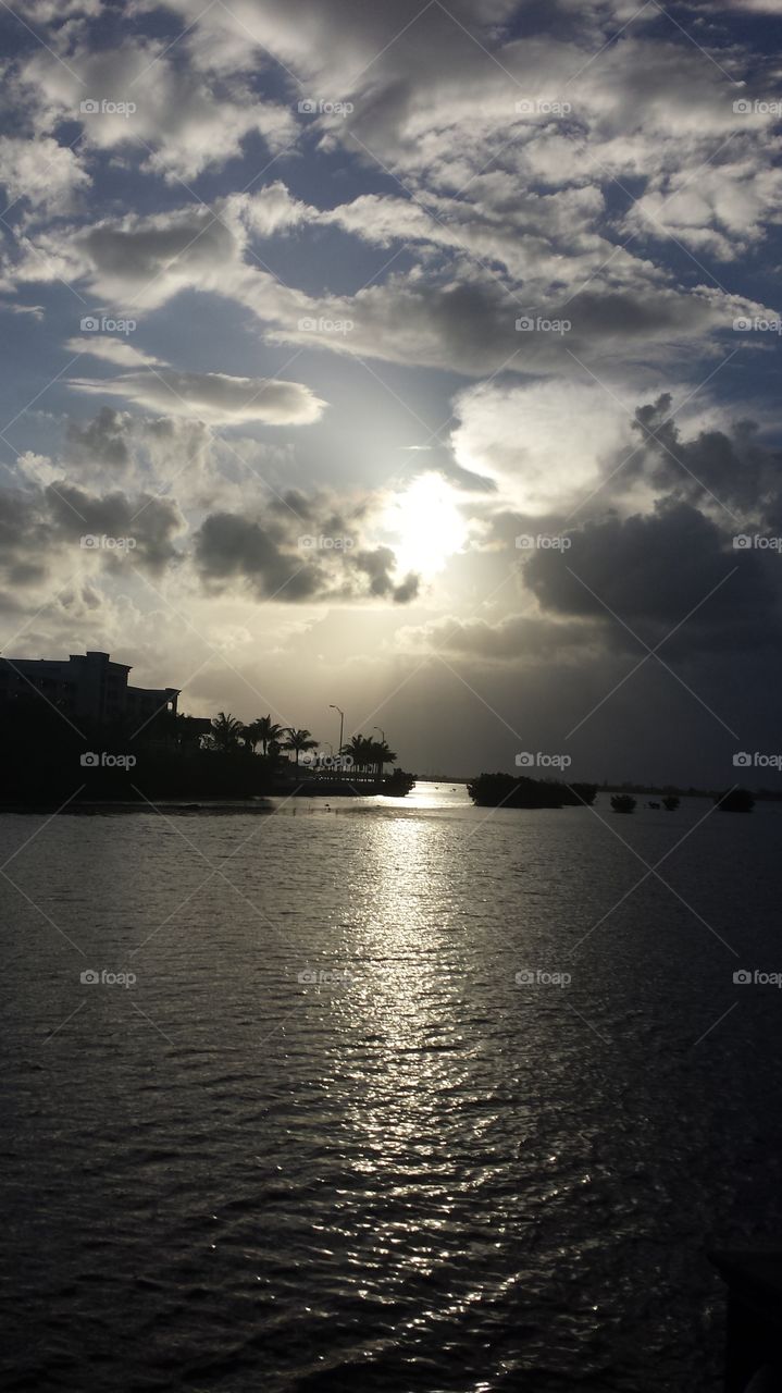 looking into the distance