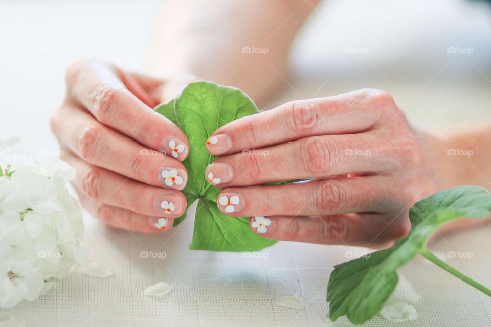 Hands with manicure in natural colors are holding a leaf