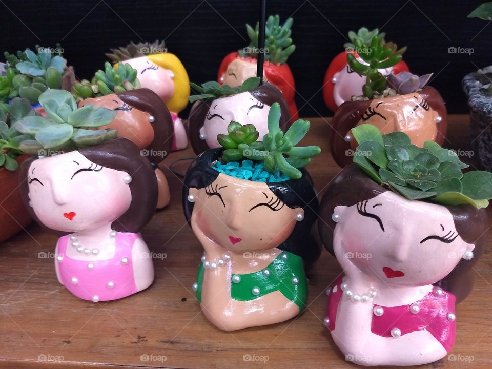 ceramic doll vase and succulents