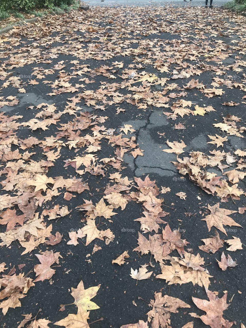 Winter time was began.