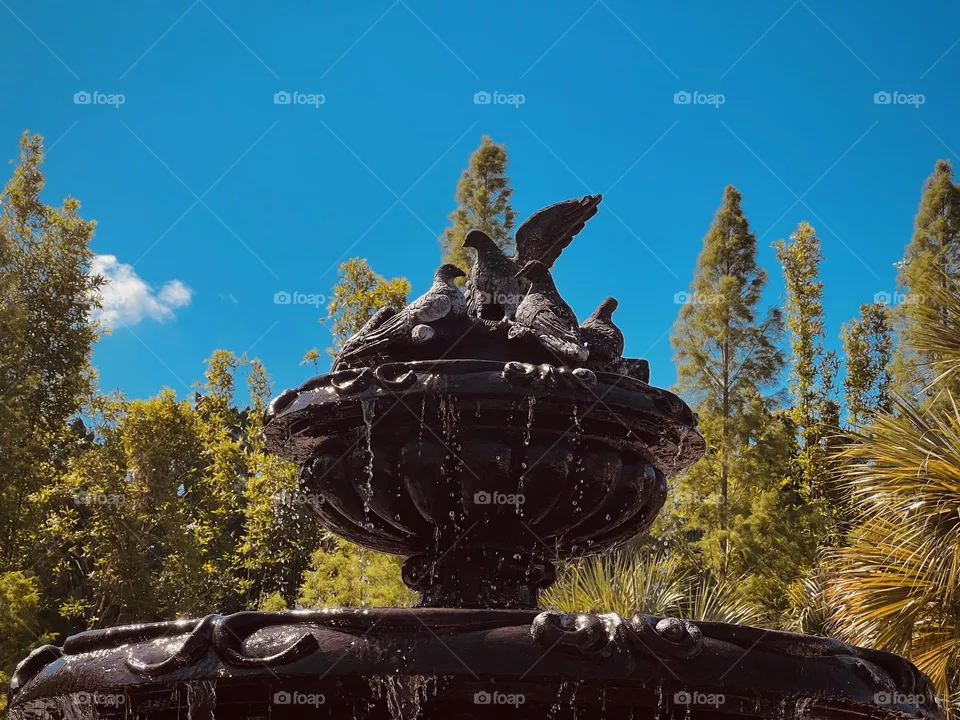 Water fountain 