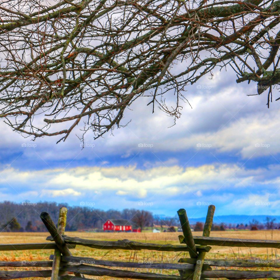 rural landscape