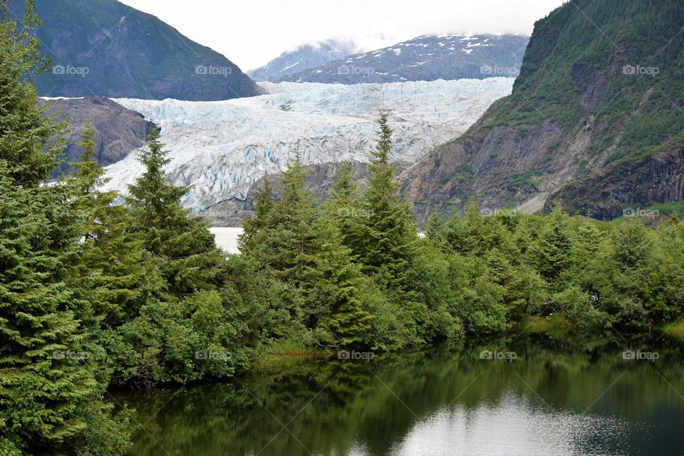 The Mendenhall Glacier near Juneau Alaska is massive and a popular tourist destination