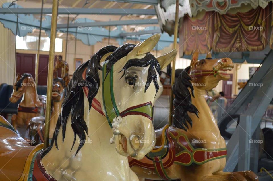 Dentzel Carousel, Meridian, MS