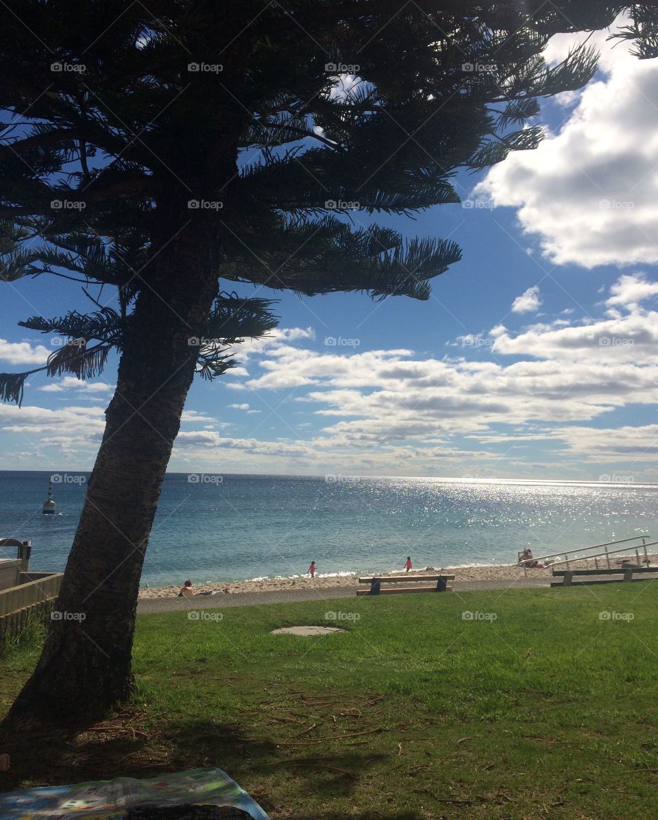 This was a photo I took at one of the beaches close to Perth, Western Australia. I have been traveling the world for over a year now and Australia is the third continent on my Trip. 