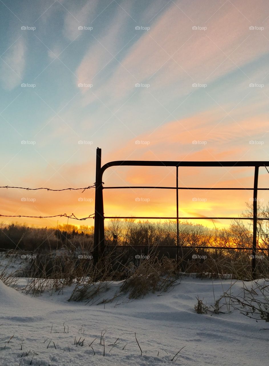 Close-up of fence in snowy landscape