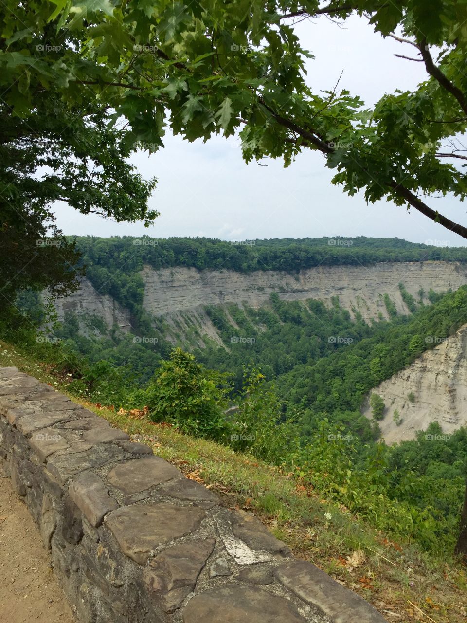 Letchworth State Park Gourge. 