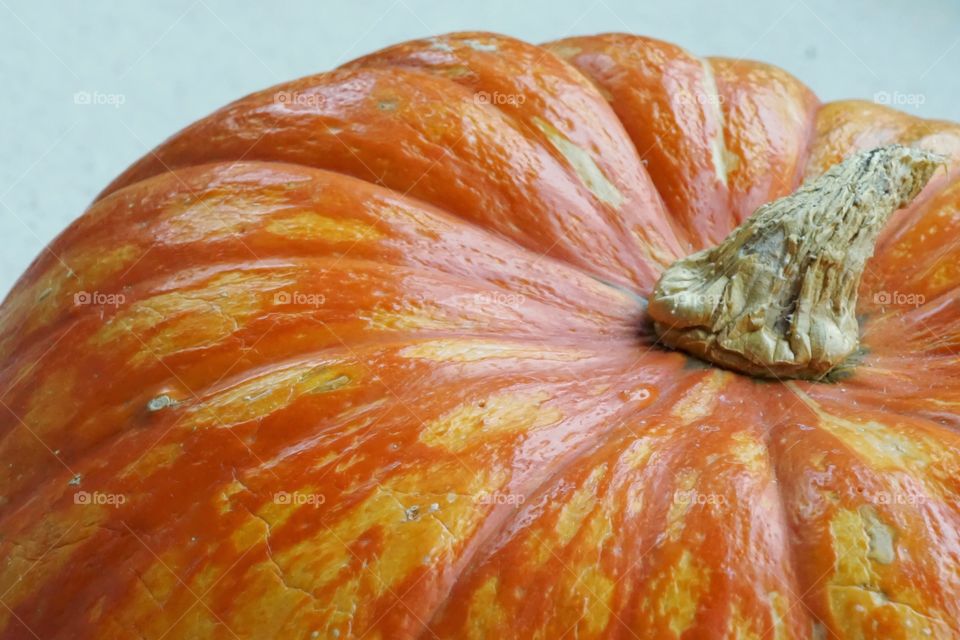 Pumpkin Orange