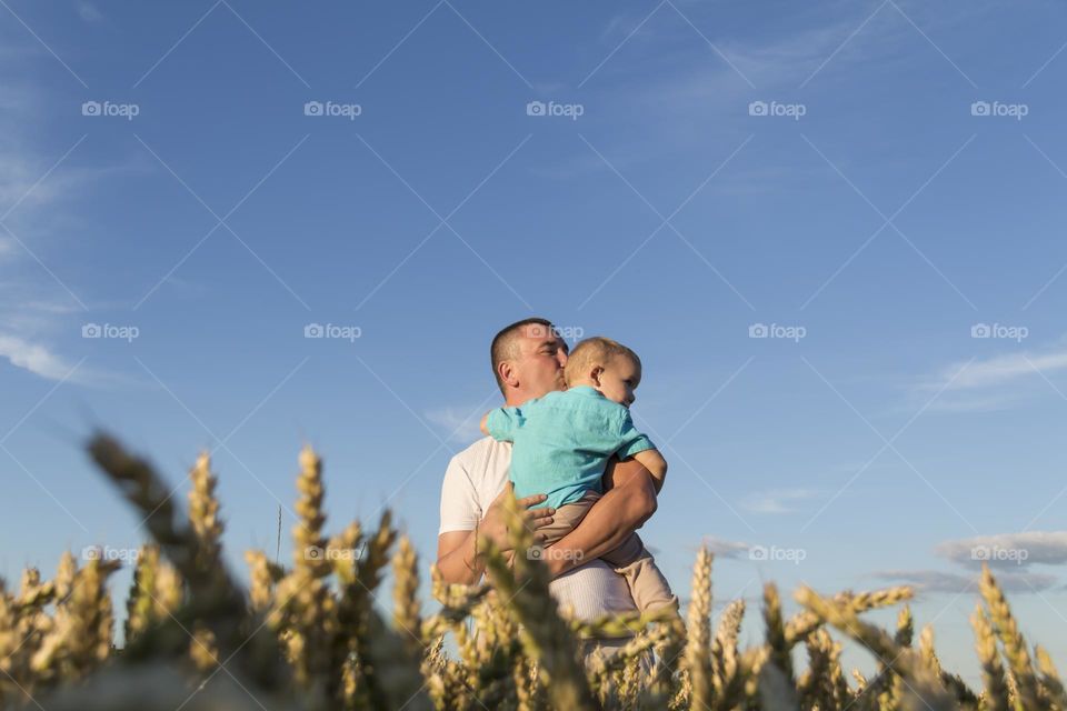 Dad holds his little son in his arms in a field with ripe wheat during the harvest.