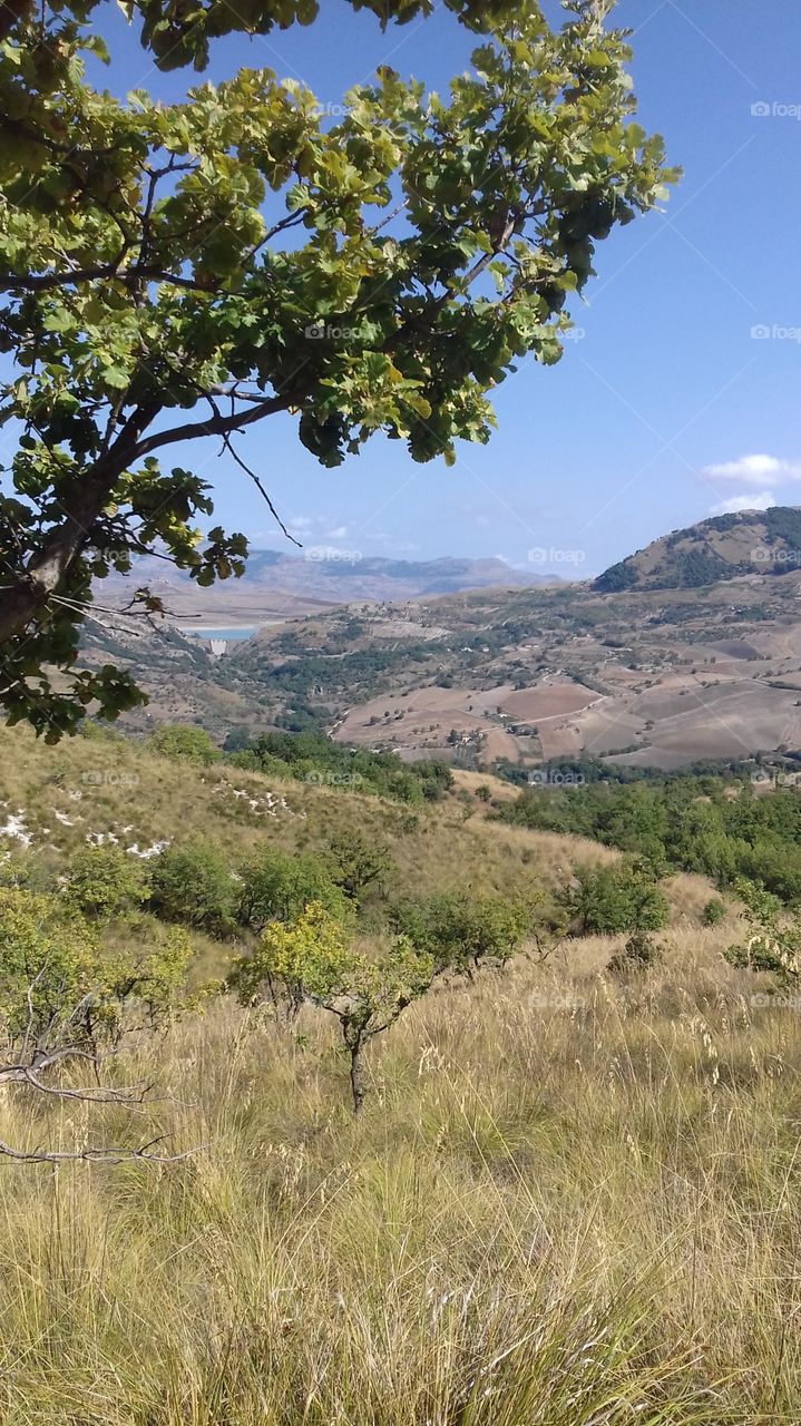 Photo of a valley, including trees, green mountain and a blue and clear sky in sicily