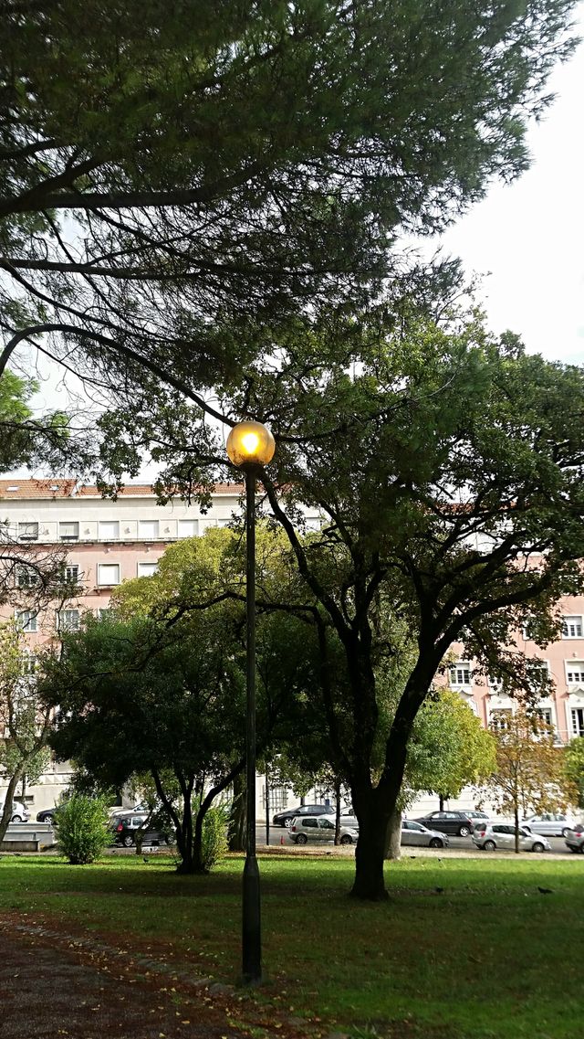 Lights on