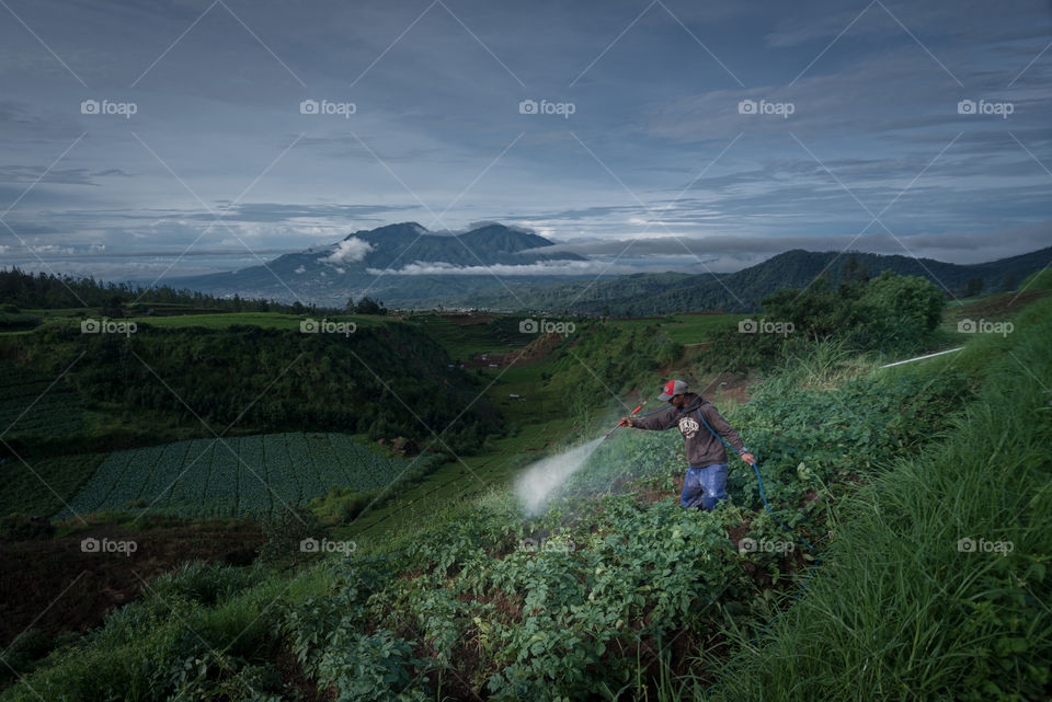 farmer activity in farm field during a cloudy morning