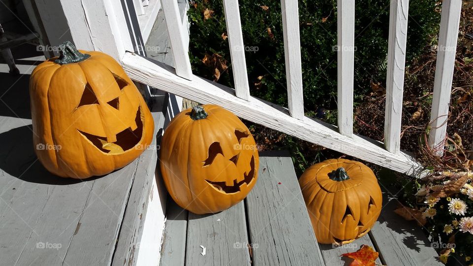 Jack o Lanterns