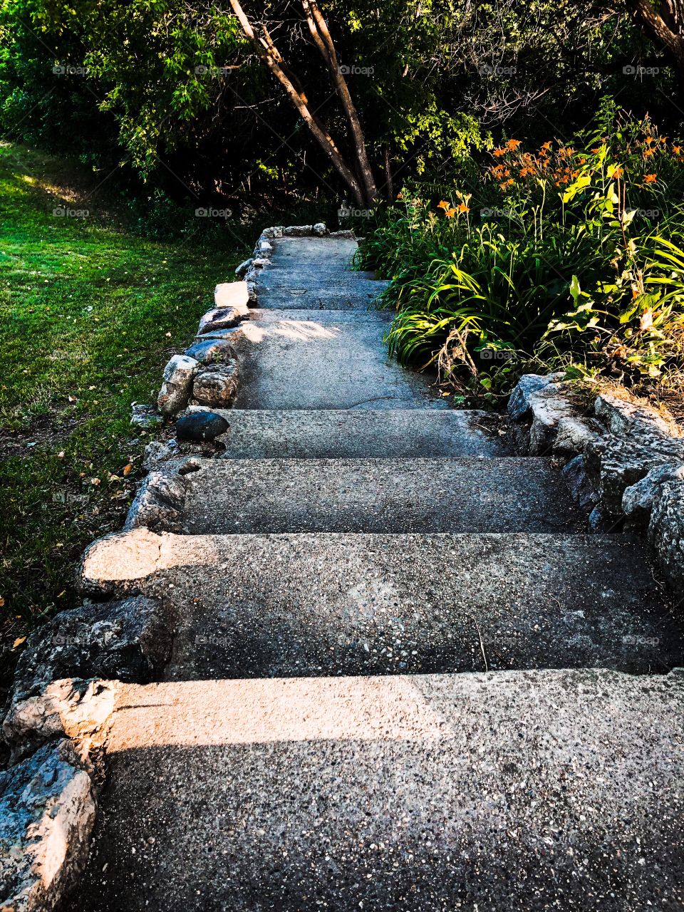 Garden steps 
