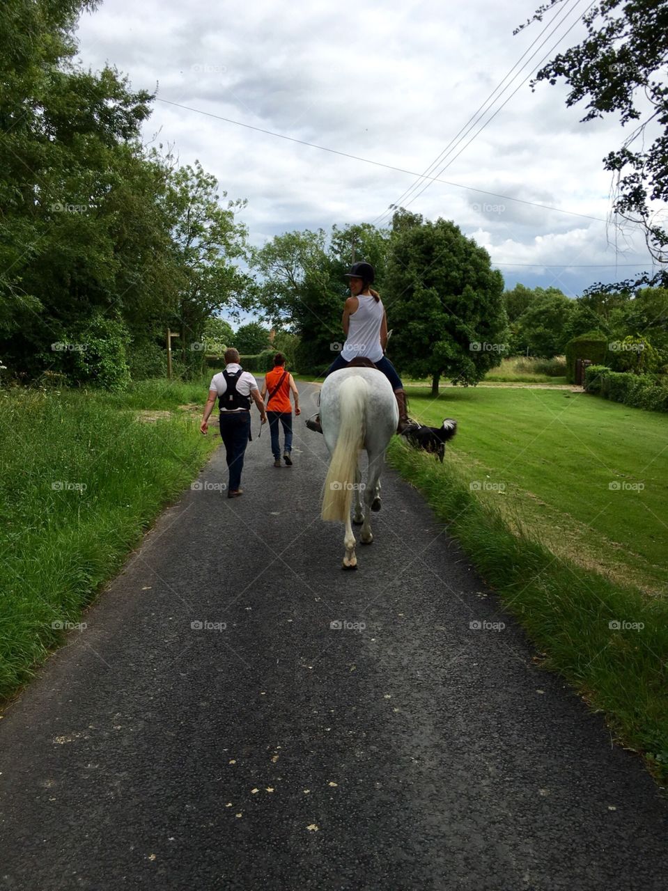 A group of friends with dogs exploring in the countryside on country paths with one of the girls in horse back 