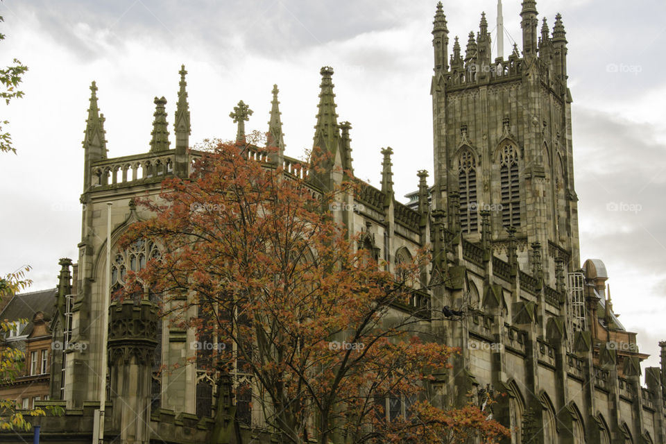 cathedral in fall