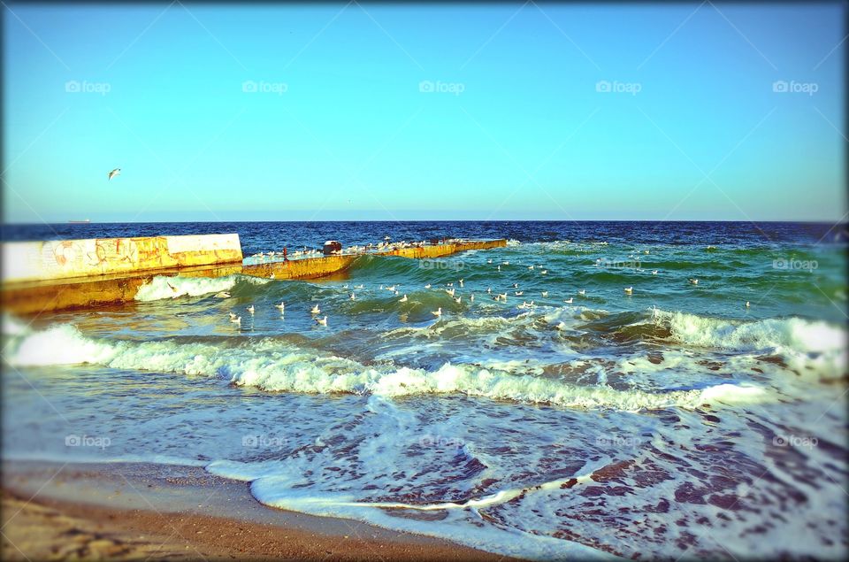 Last summer days . At the shore 
