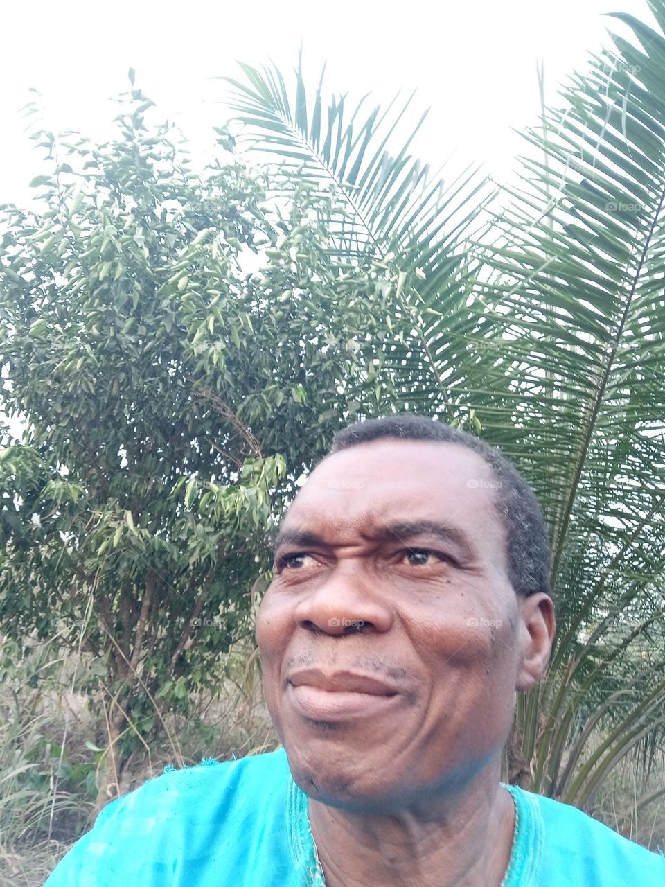 Very captivating pictures for you!