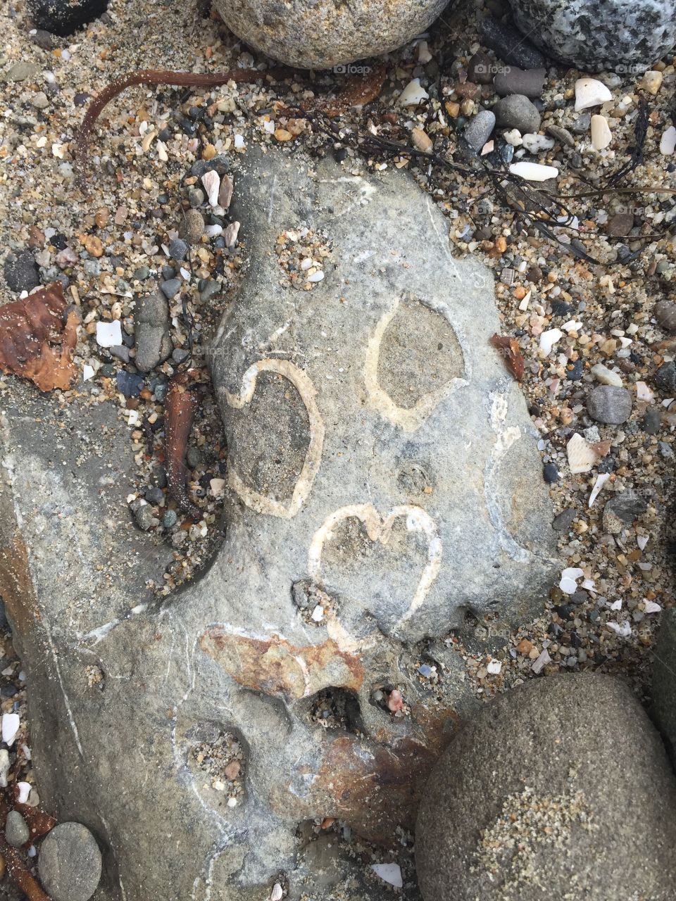 Heart fossil