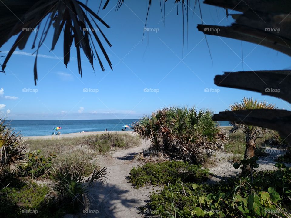 Beach entrance with palm tree silhouettes.