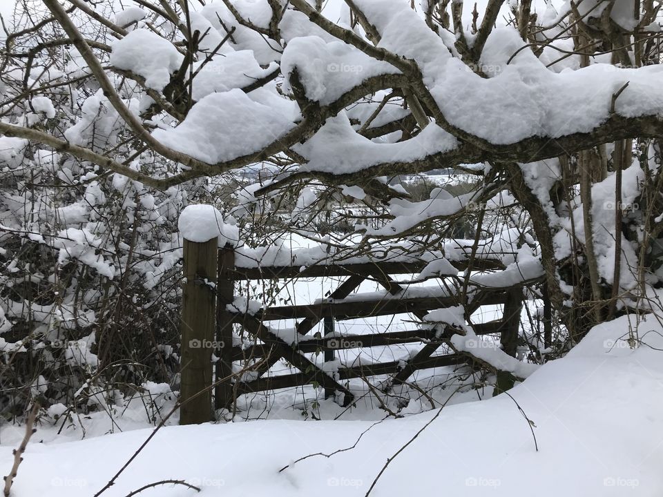 Heavy snow returned to parts of Devon twice in a month not previously seen for decades.