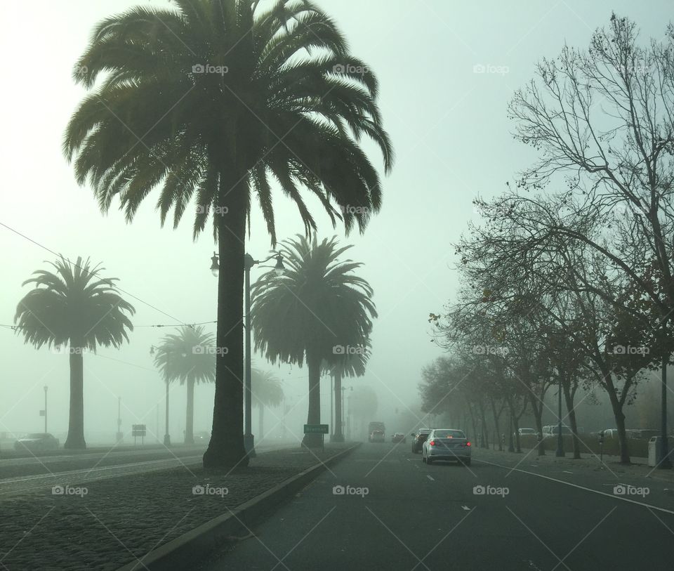 A foggy day in San Francisco 