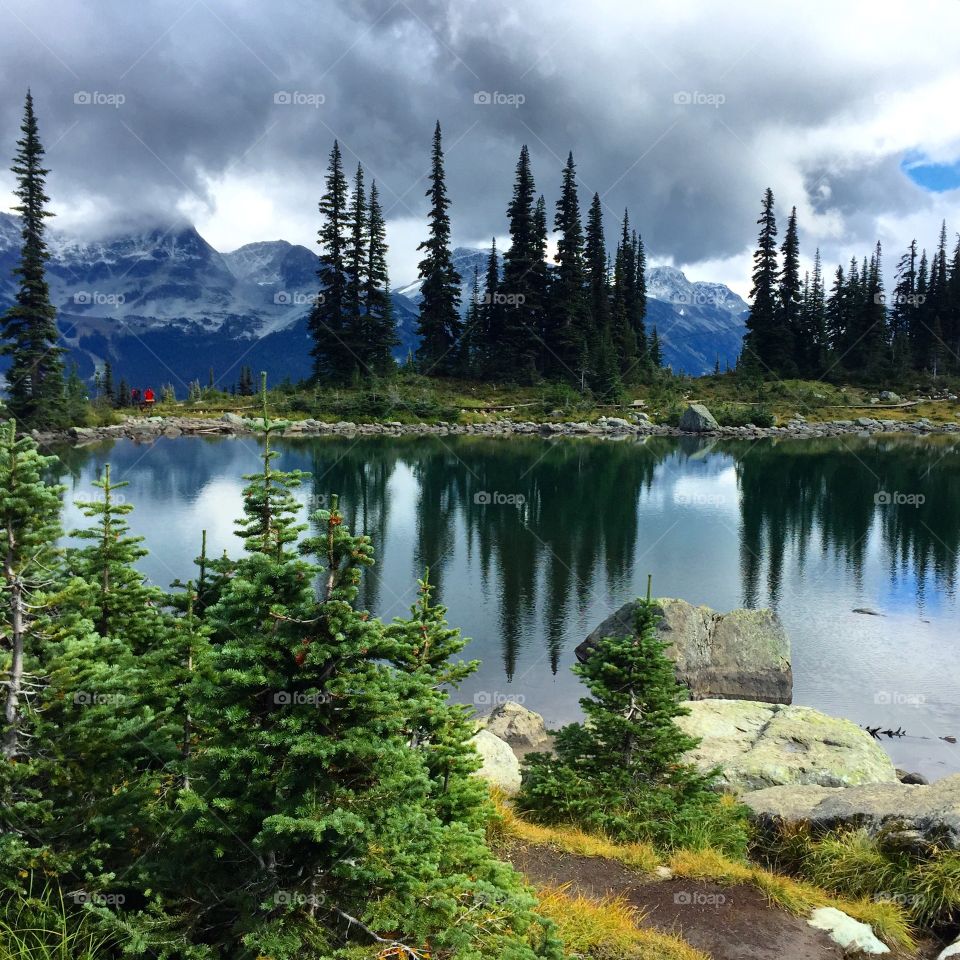 Scenic view of nature