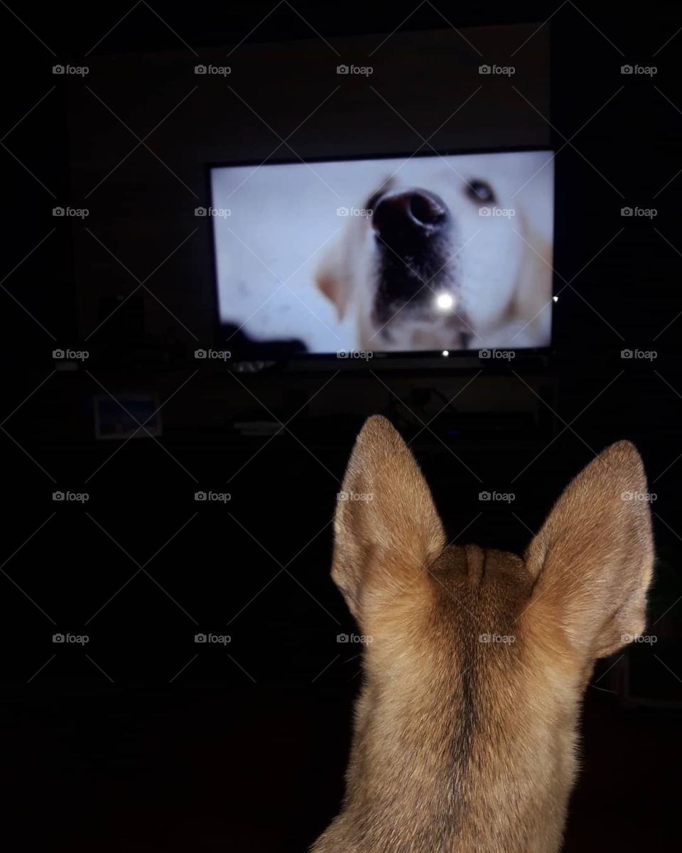 Assistindo meu amigo na tv