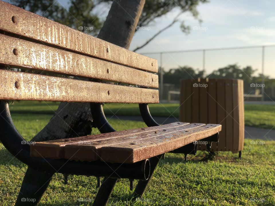 Bench drenched in morning dew
