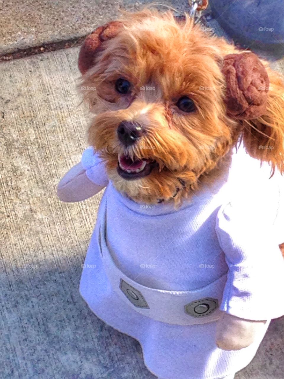 Star Wars. Princess Lea