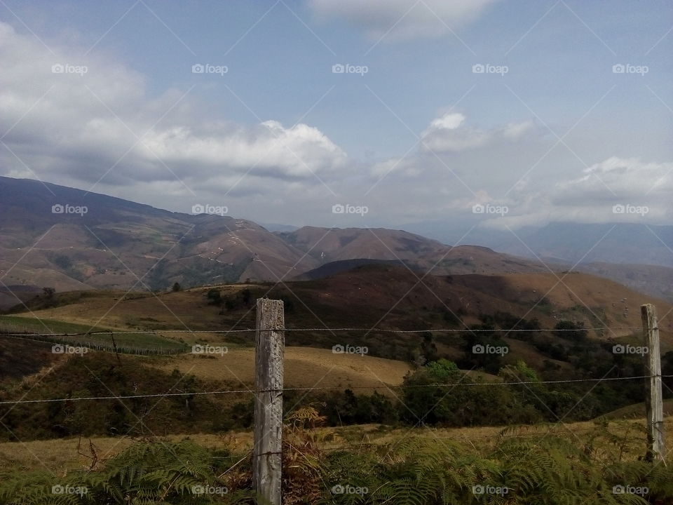 Campo, cultivos, naturaleza y tranquilidad. Vista desde la Aldea el Alto en Pregonero, Táchira, Venezuela.