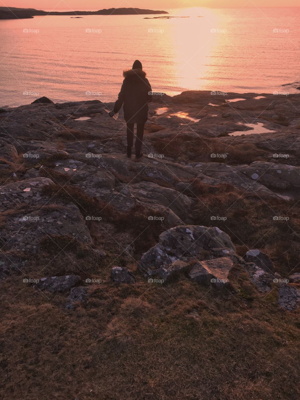 Cliffs and stony beach