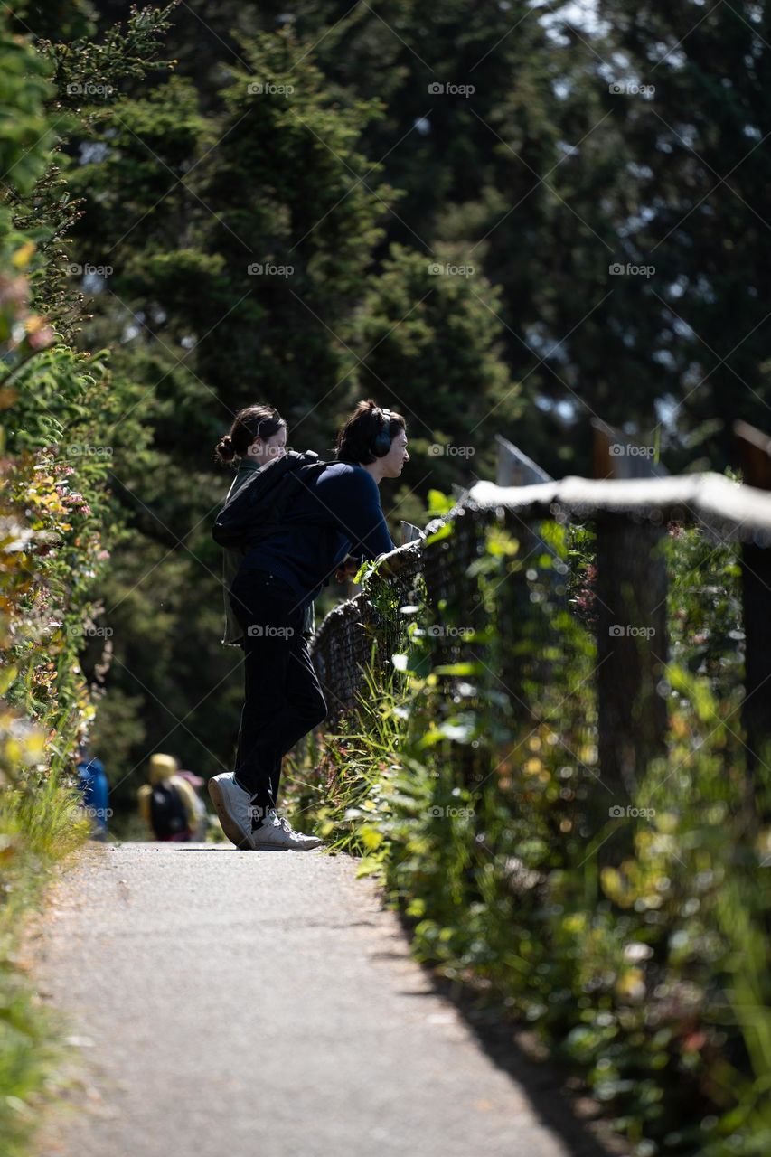 Small path in Oregon 