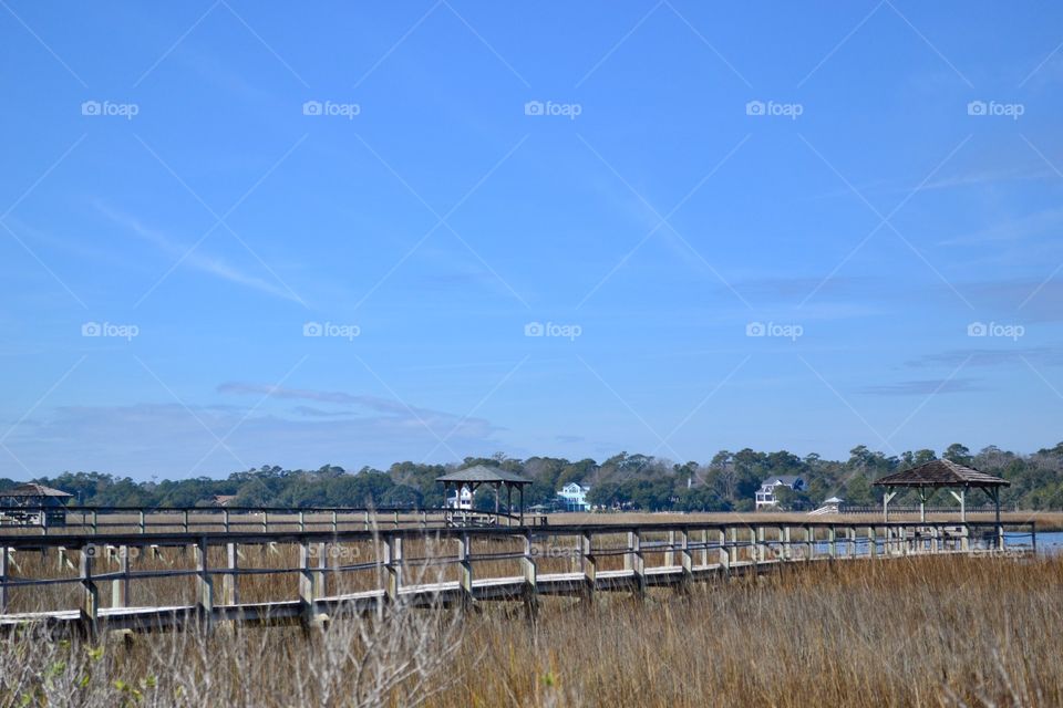 Walkway In The Marsh
