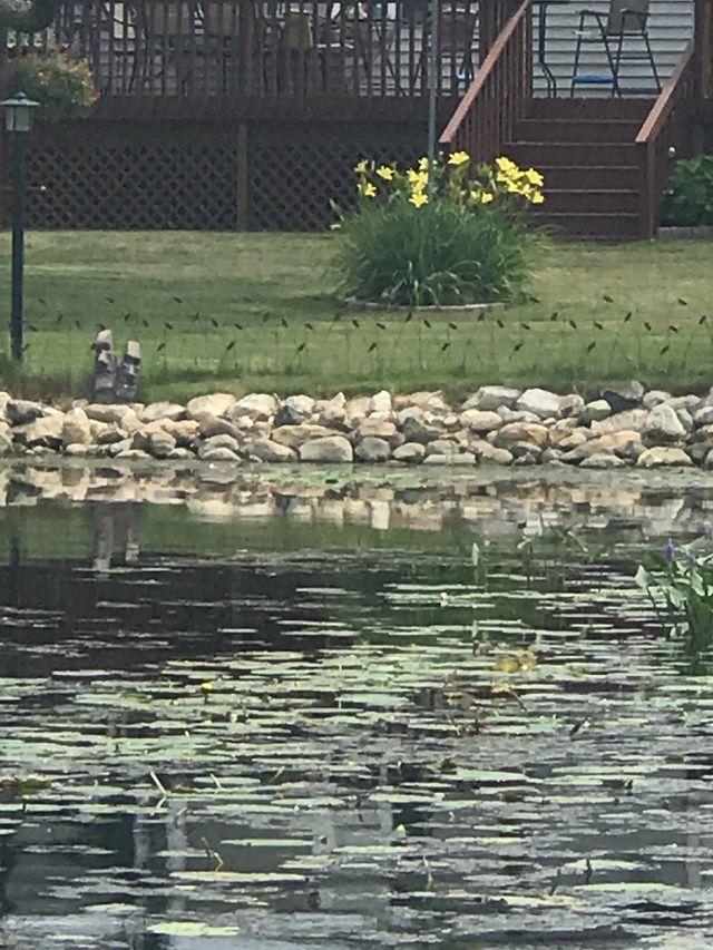 Lakeside