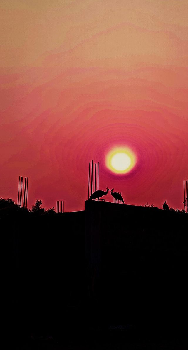 The early morning scene at my Village caught my attention!