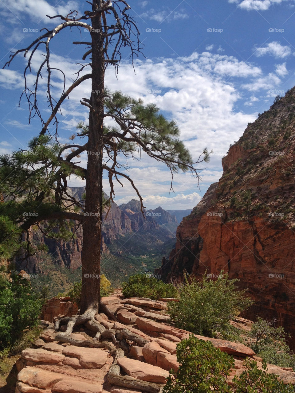 View From Angels Landing