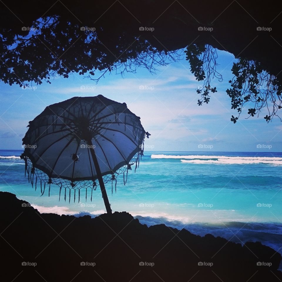 Hidden beauty . I found this rare beauty umbrella in the cave in Bali, Indonesia. pure beautiful 