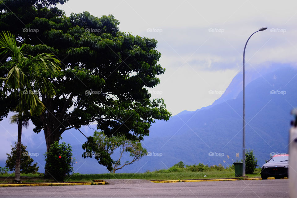 Mount Kinabalu 