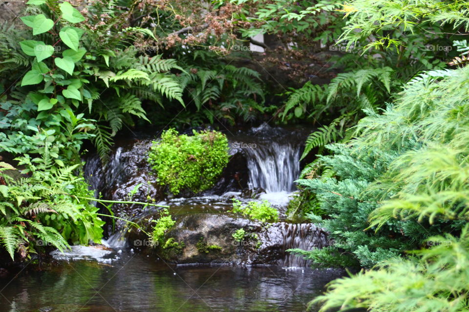 A tranquil little waterfall in Himeji Gardens