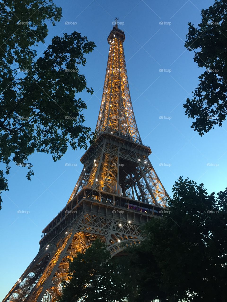 Eiffel Tower 