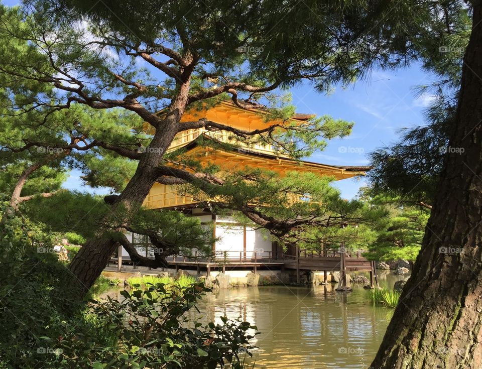 Golden temple in Kyoto, Japan . The most famous temple in Japan