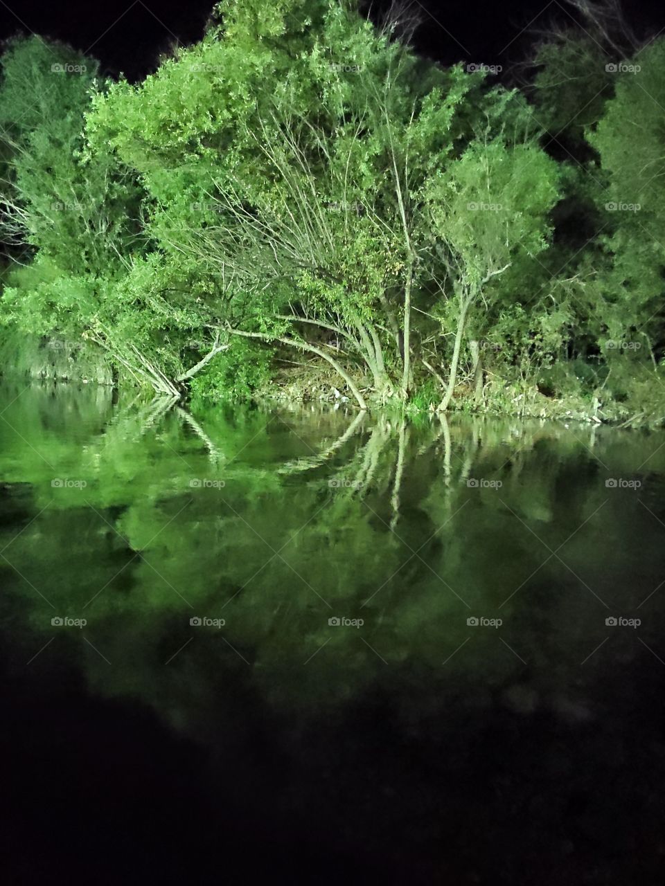 a mysterious tree over a lake in night long exposure