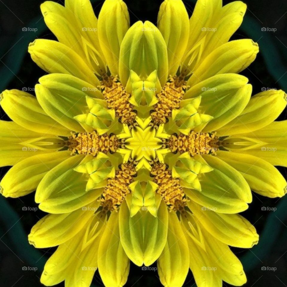 yellow flower kaleidoscope