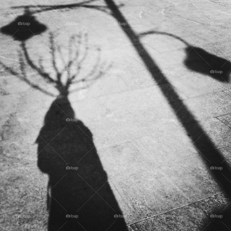 Shadows. Shadows