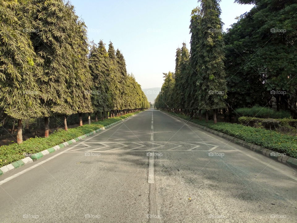 road image